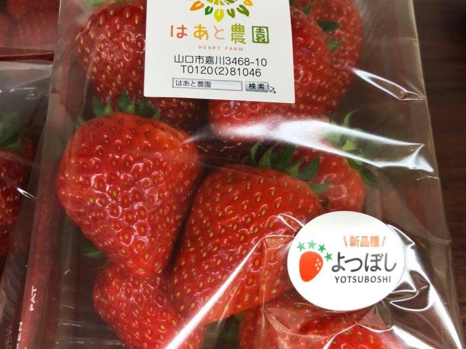 特産cafe やまのわ
