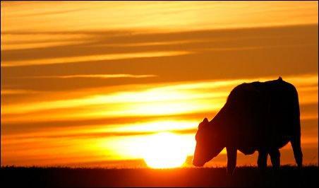 Sunset Ranch