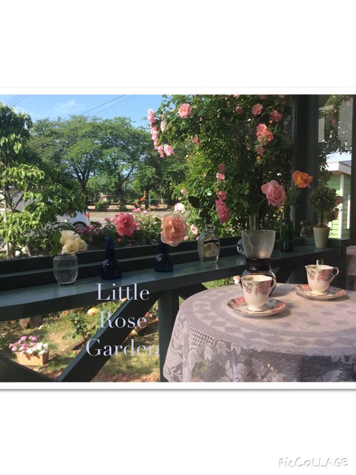 Little Rose Garden