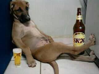 Peke Peke