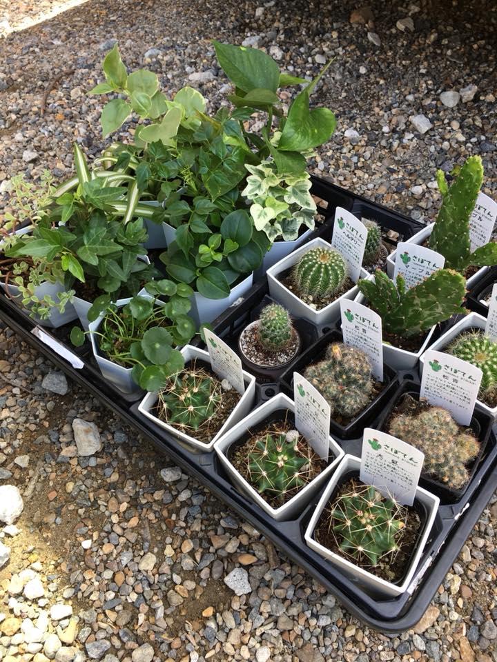 GOOD 2GARDEN