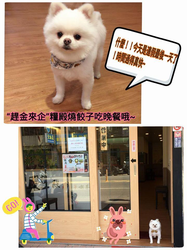 糧殿燒餃子
