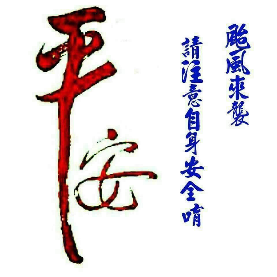 咖啡鸚