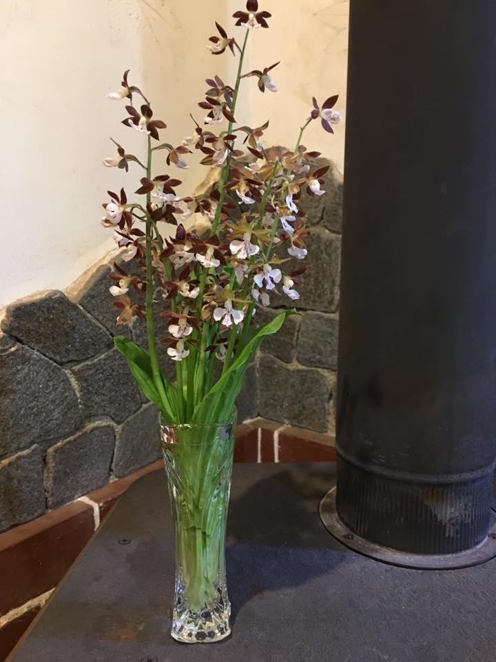 木花山荘