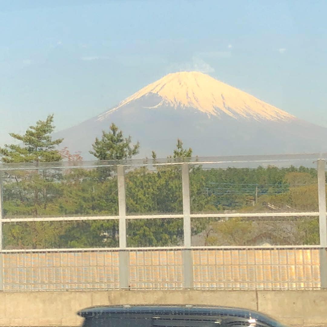 おめで鯛焼き本舗 足柄SA下り店