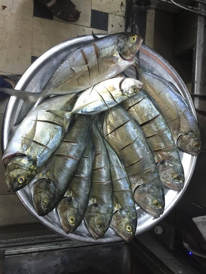 مطاعم قيطاز