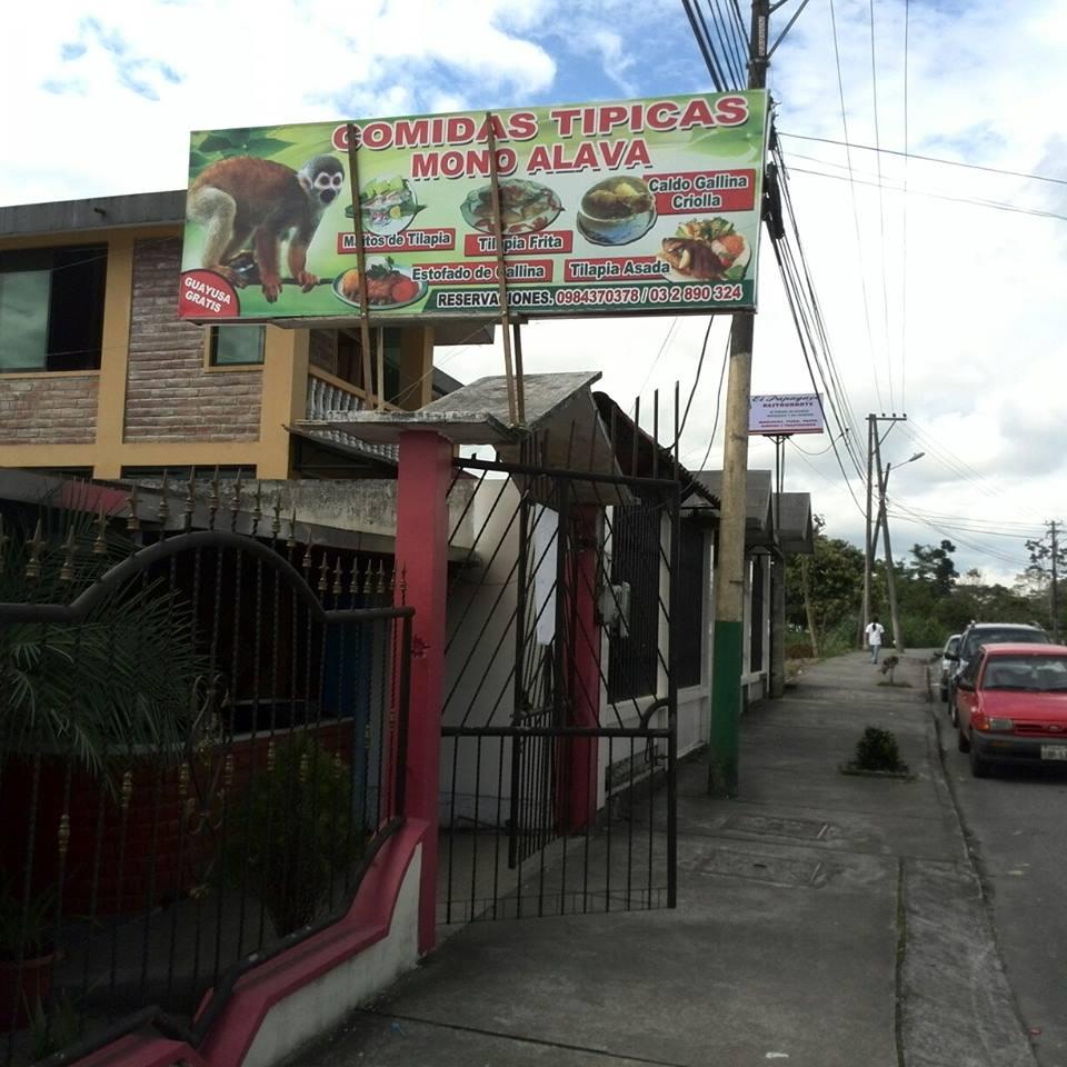 Fritadas De El MONO