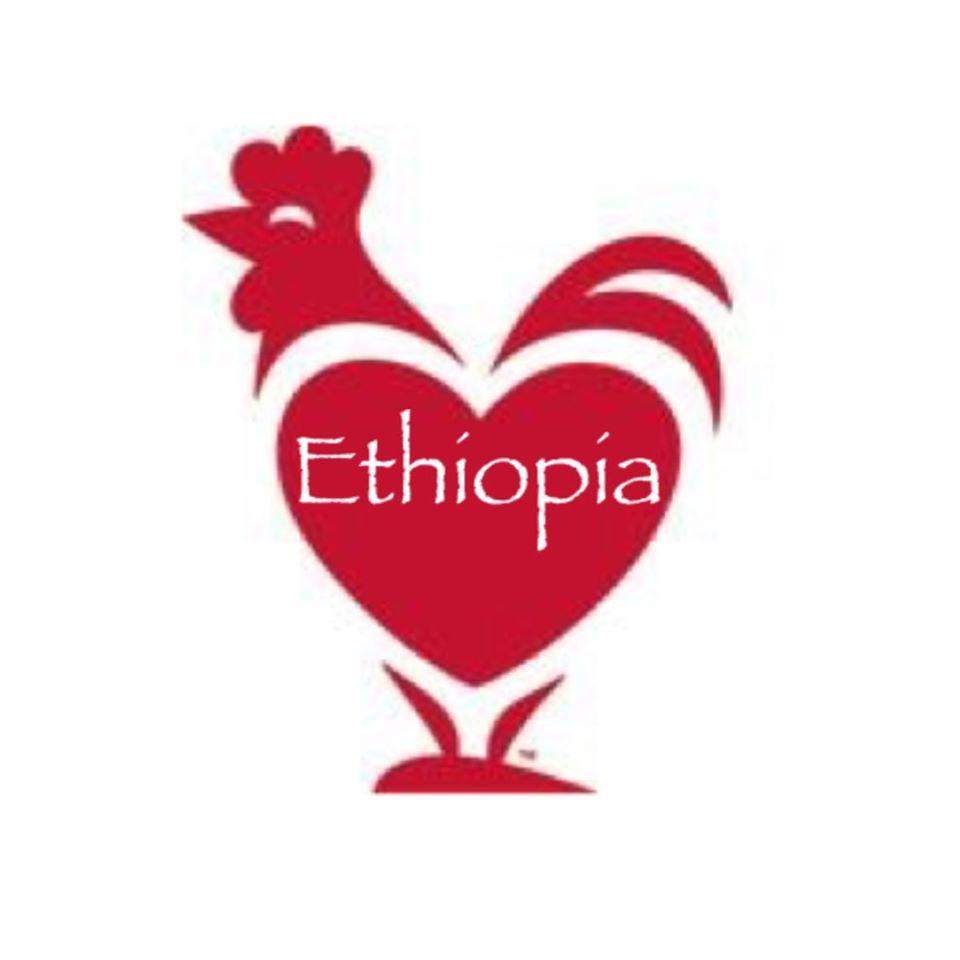 Red Rooster Ethiopia