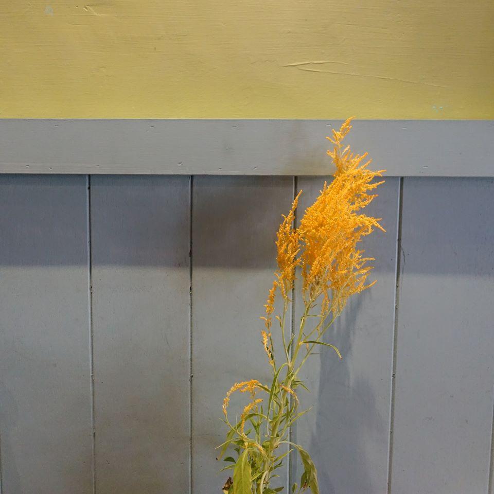 Lievre Cafe 野兔咖啡
