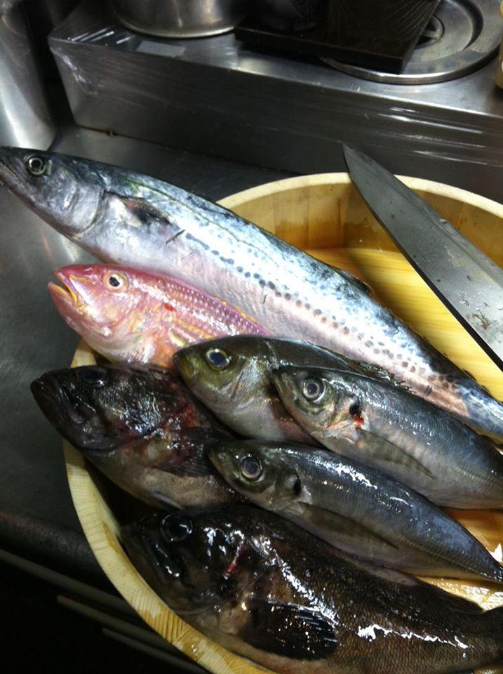 築地鮮魚・磯焼　　漁火　本店