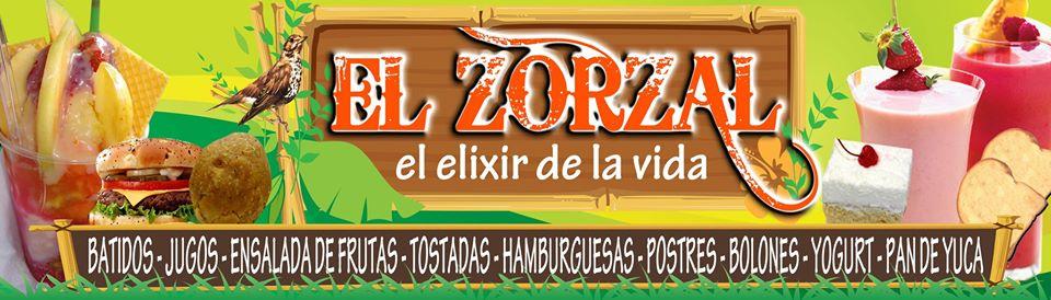 El Zorzal