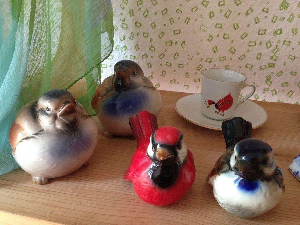 フーカ　Vögel und Katzen