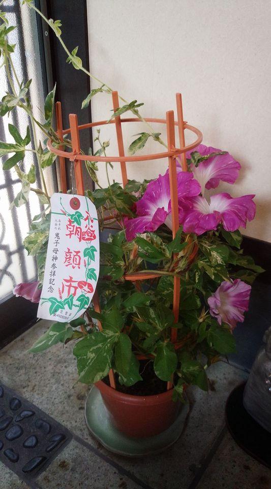 和処かなざわ