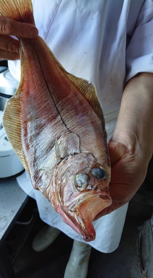 大名【お食事処】白山市鶴来