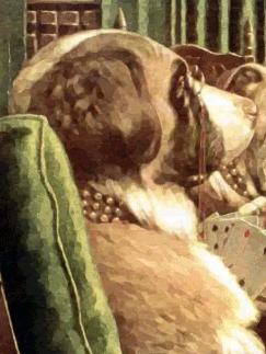 Kraus's Doghouse