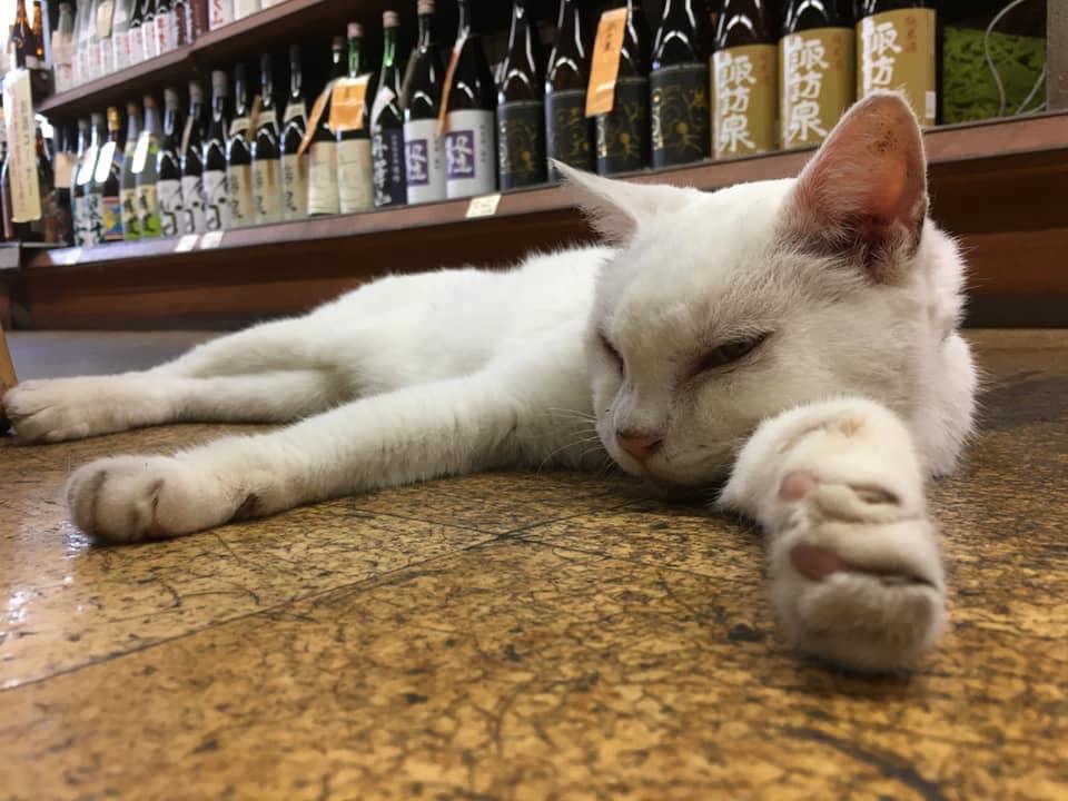 蔵ふと酒房 岸田屋