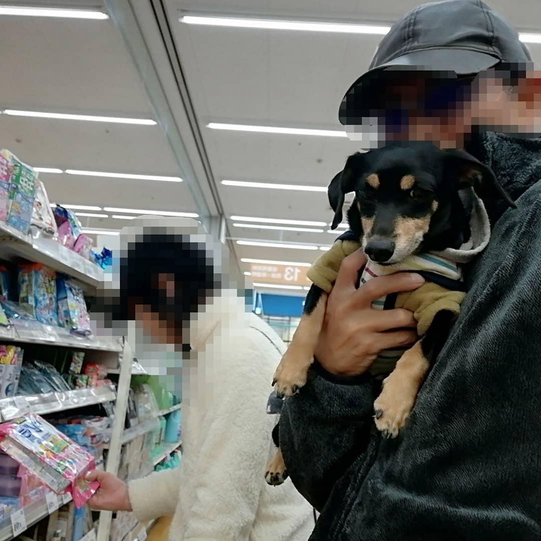 カインズキッチン 銚子店