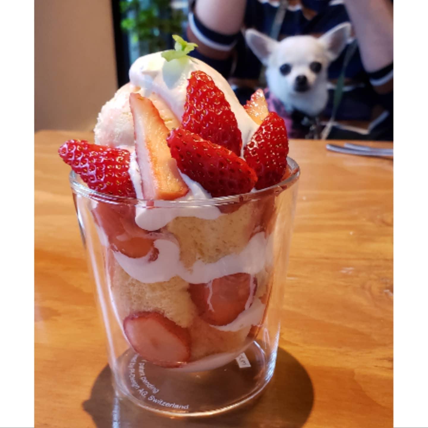 Yaco Cafe