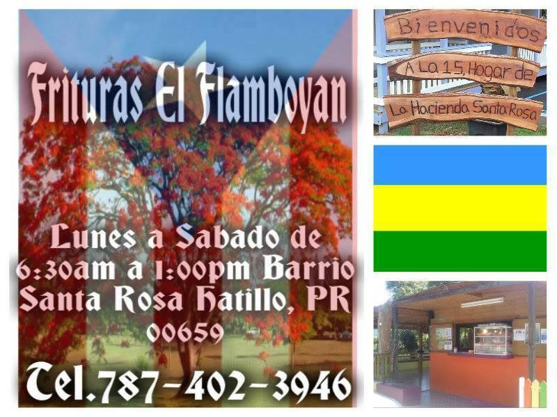 Frituras El Flamboyán