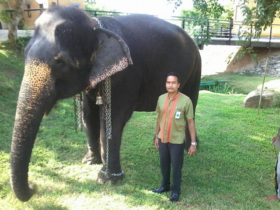 Ravi tours & Travels