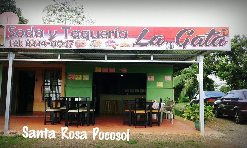 Soda y Taqueria la gata