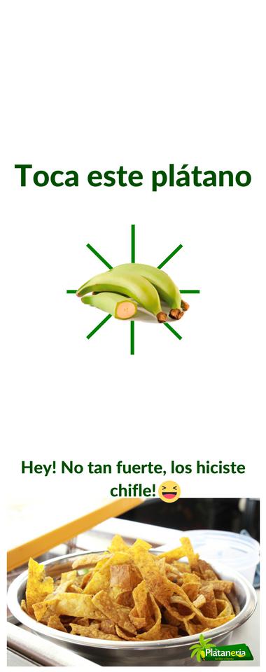 La Plataneria Cuenca