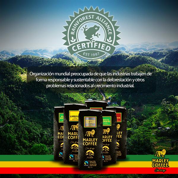 Marley Coffee Rancagua