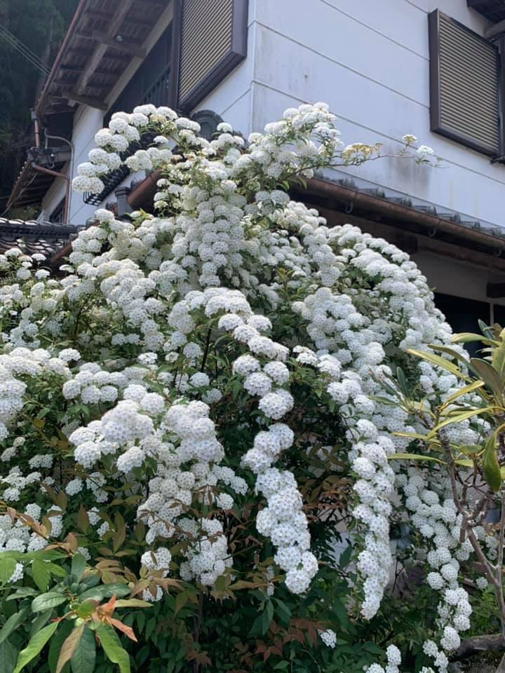 Cafe ほんぐう