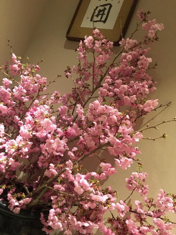 居酒屋囲
