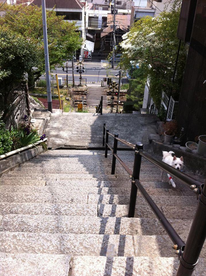 Base Onomichi