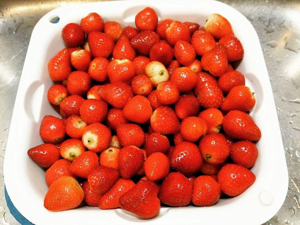 冰窖微笑橘子