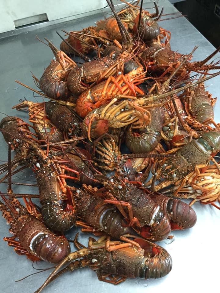会席料理はしもとや