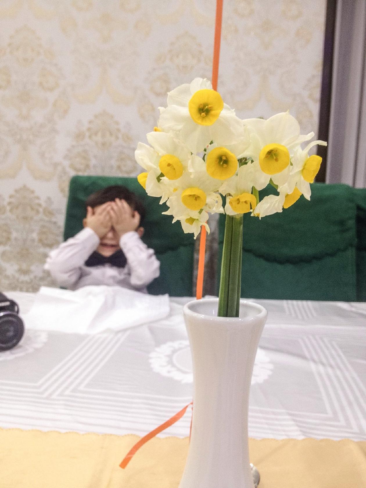 Niavaran Diplomatic Guest House مهمانسرای ديپلماتيک نياوران