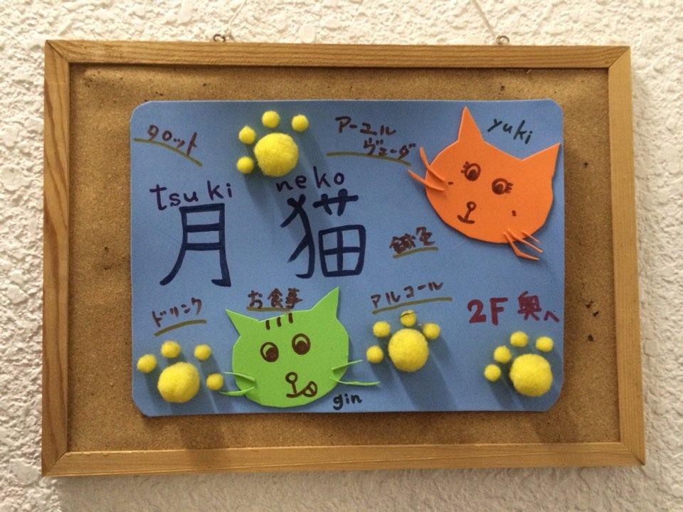 月猫