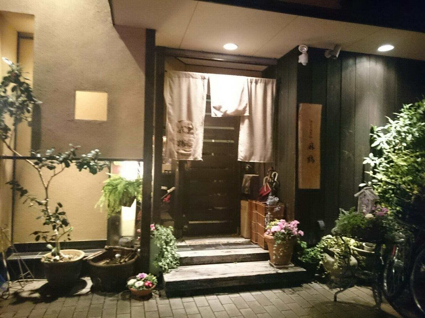 麻鶴