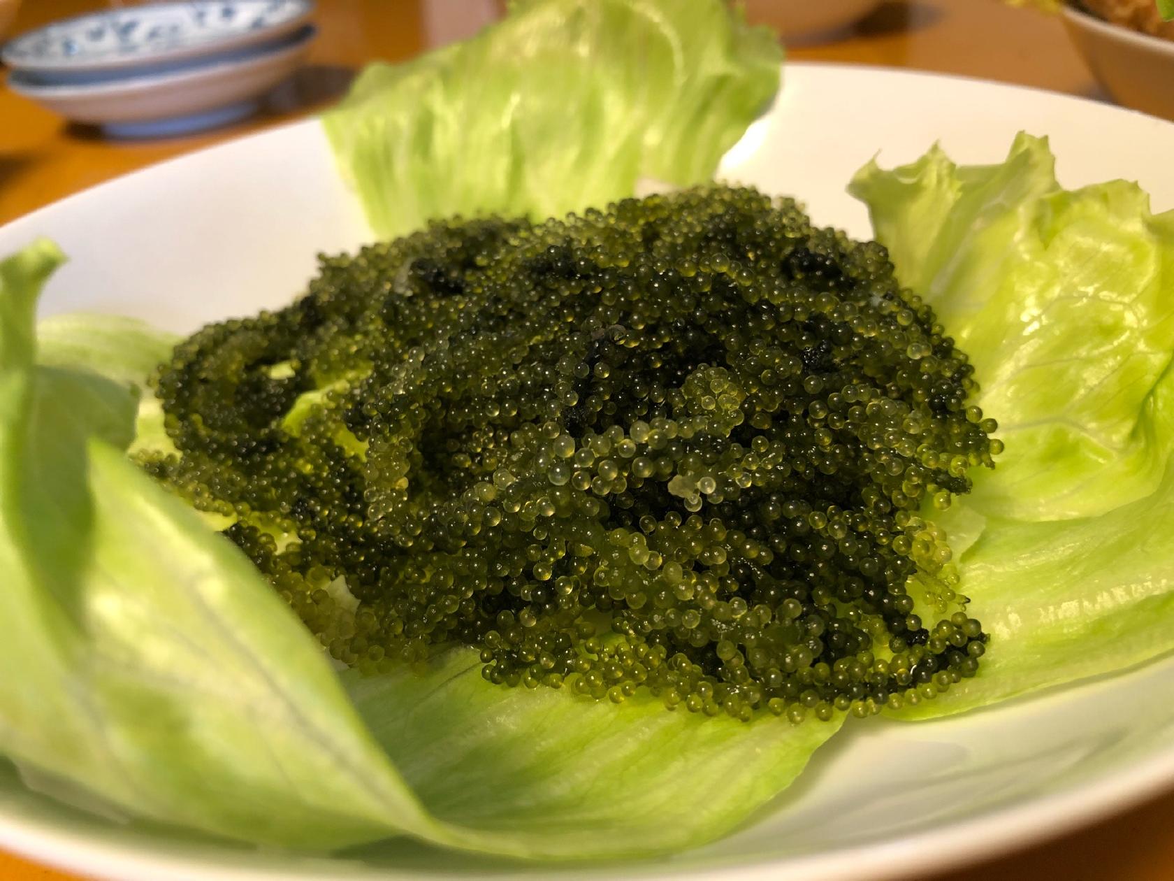 想い出横丁