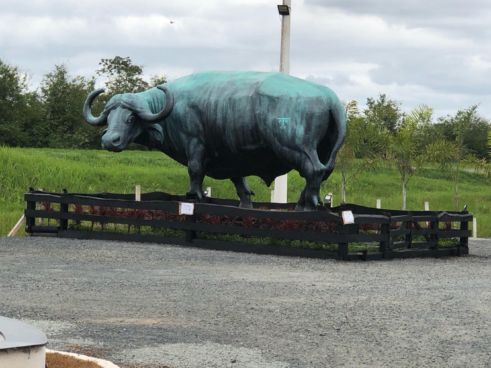 Pub Steak House Casa Porto Velho