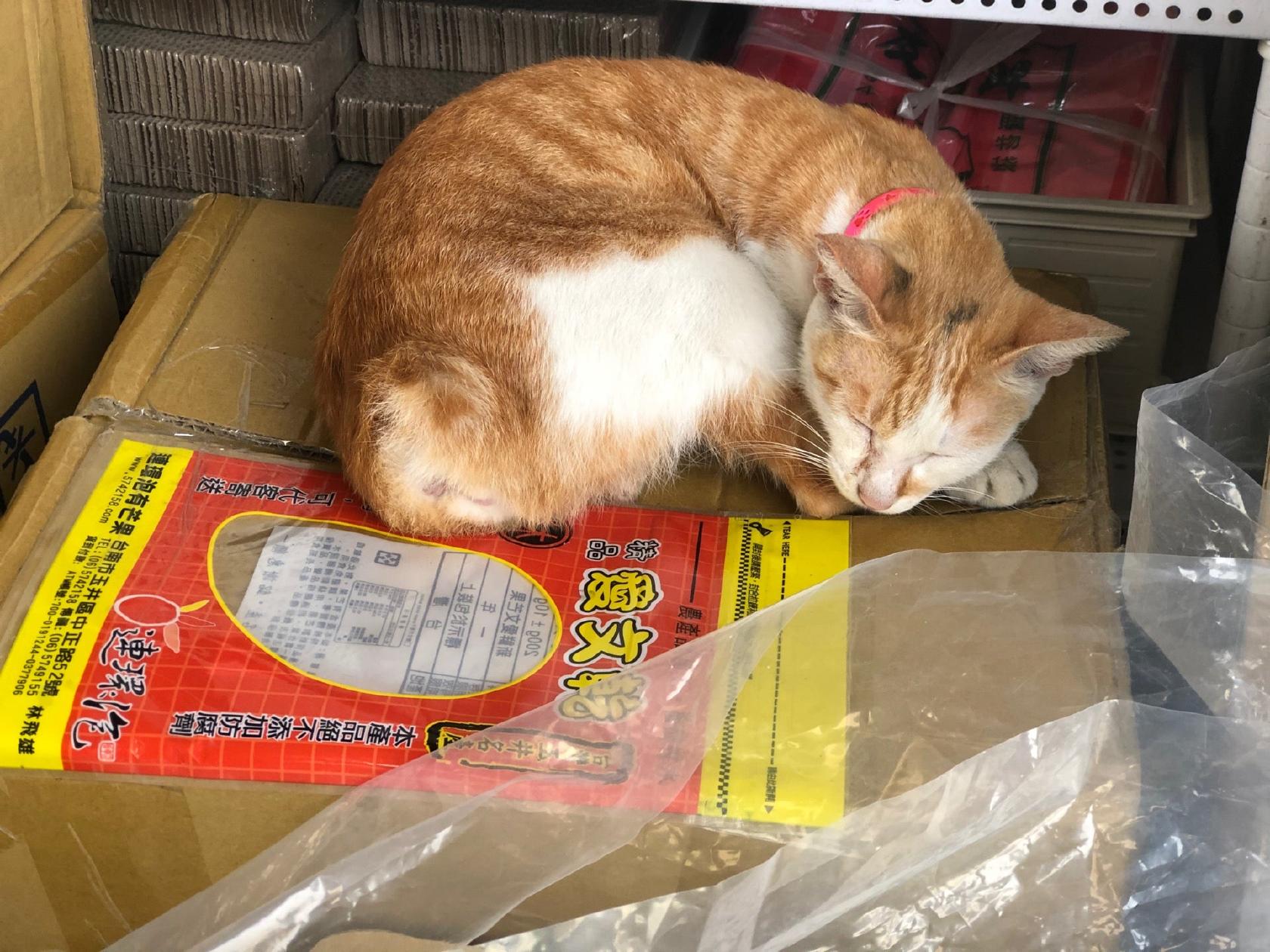 連環泡芒果干專賣店