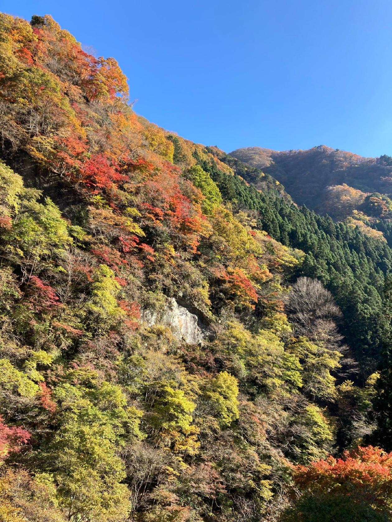 大血川ドライブイン