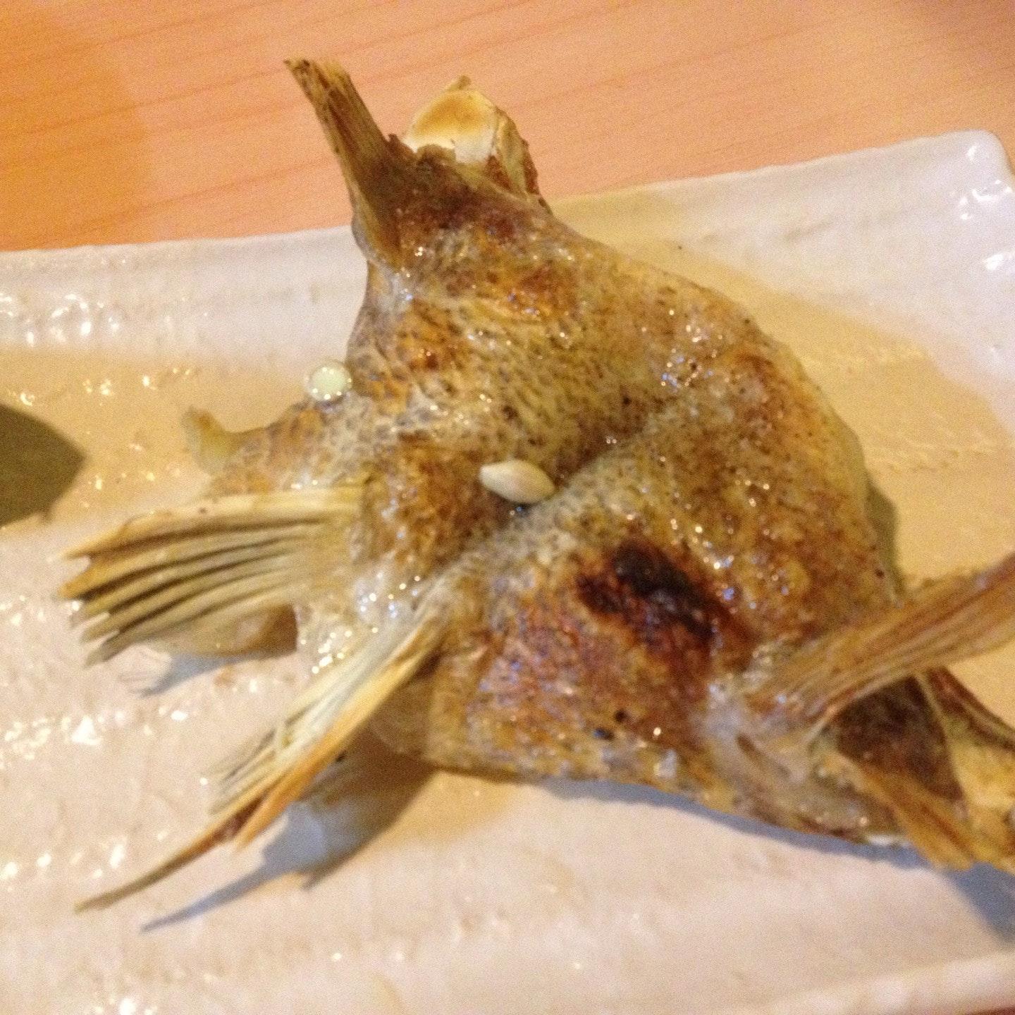 曜 炭火・食帶