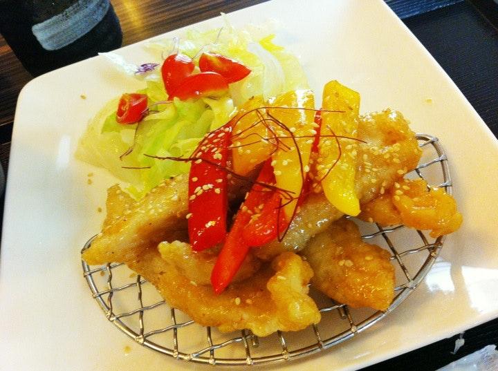 樹太老