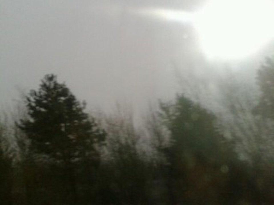 The Roof (Tribal Restaurent)