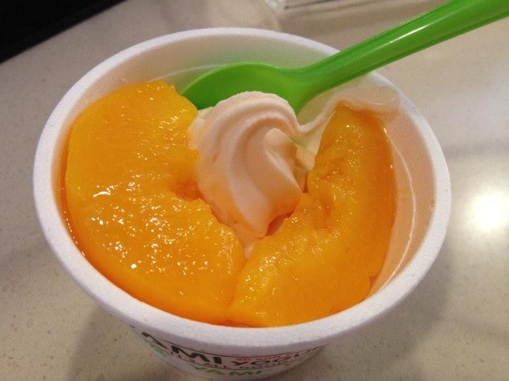 Yami Yogurt