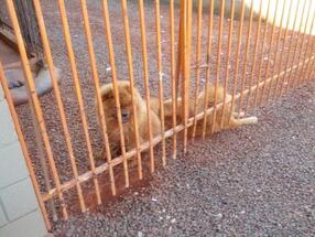 Restaurante Parada Nadin