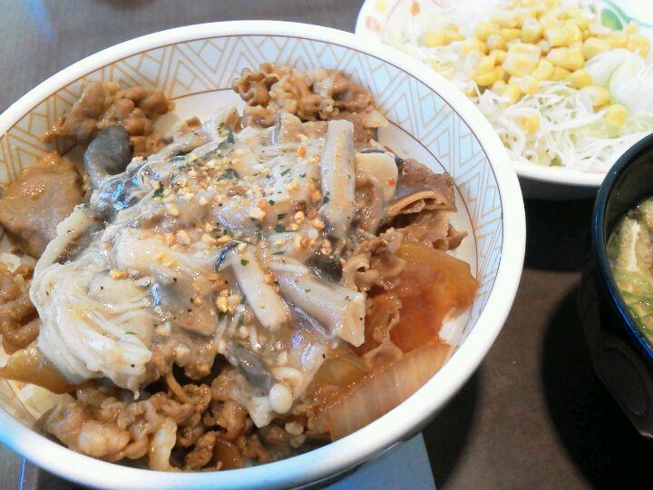 すき家 イオンかほく店