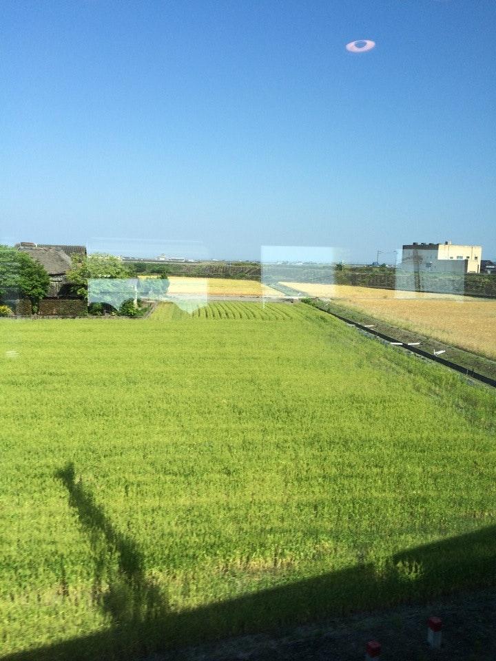レストラン家族亭