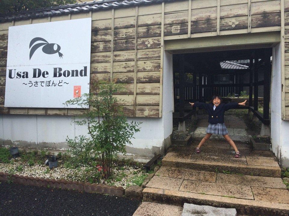 うさでぼんど