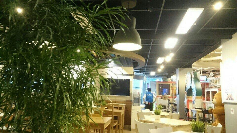 OSHIEMASU Studio Cafe