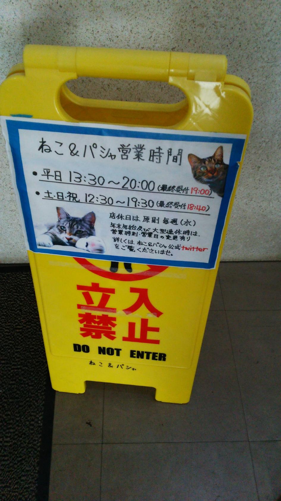 ねこ＆パシャ