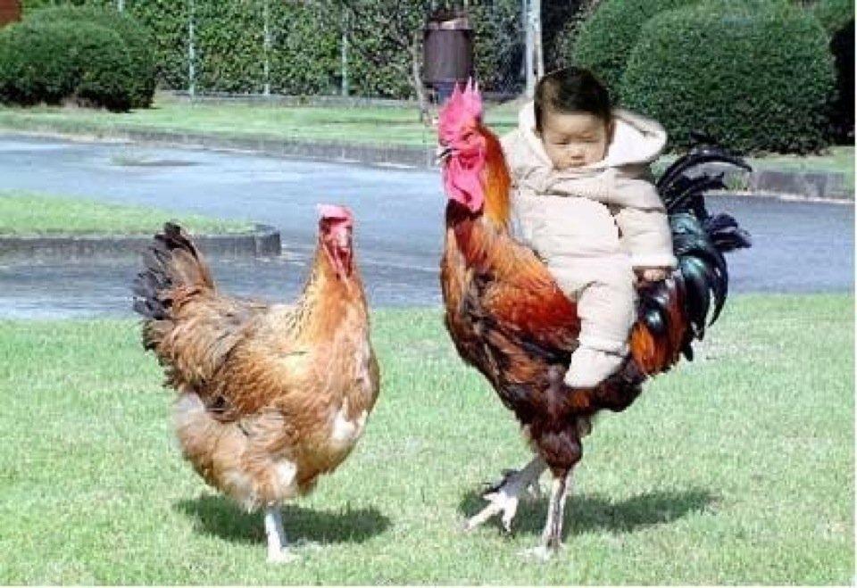 やきとり 門